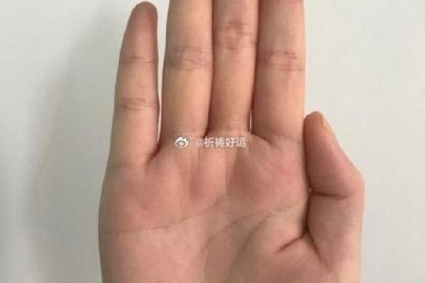 探寻命格四金四土的神秘：揭示您的命运之钥！