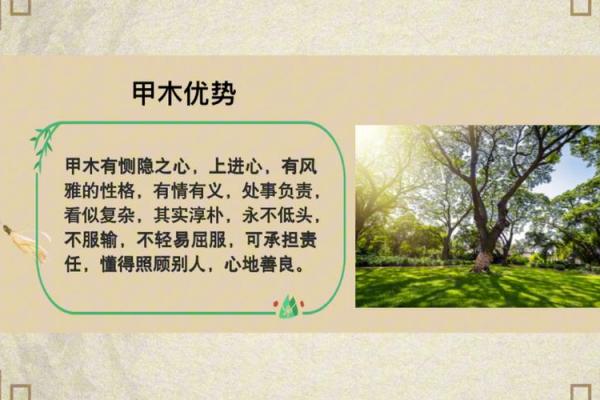 解析木命人的命理特征与性格魅力之源