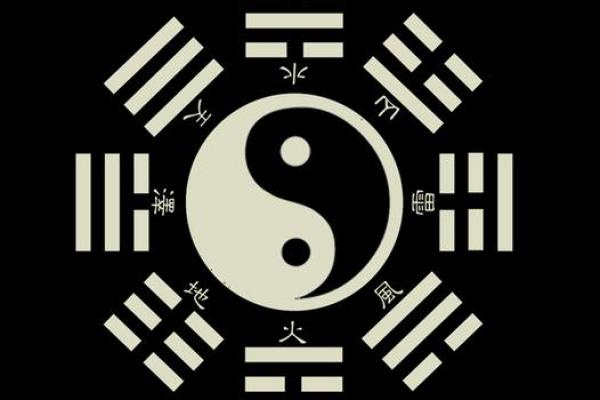 解析木命人的命理特征与性格魅力之源