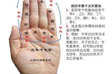 炉中火命与木命的最佳合作之道