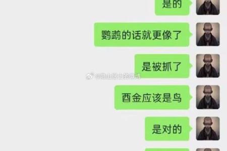 葵卯女命：解读她们的性格特征与命运走向