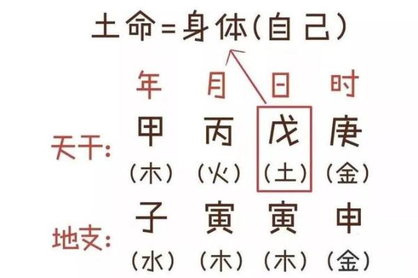 木命缺水的朋友适合佩戴哪些饰品来改善运势？