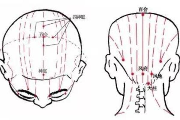 命里脖子收缩的原因及应对策略解析，帮助你摆脱困扰！