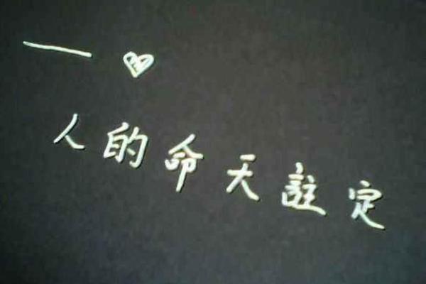 命好不好？探讨命运与个人选择的深刻关系