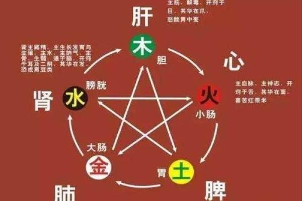 木命人选车如何看五行属性，提升驾驶体验与安全感