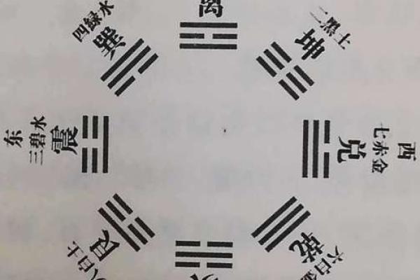 探秘命卦：离命的深刻内涵与人生启示