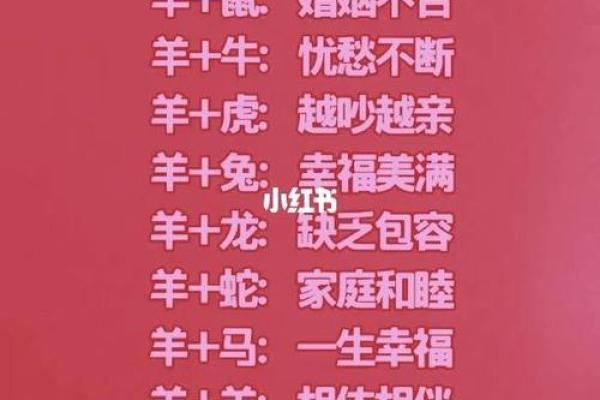 卯时出生的属鼠男孩：命理解析与人生走向探讨
