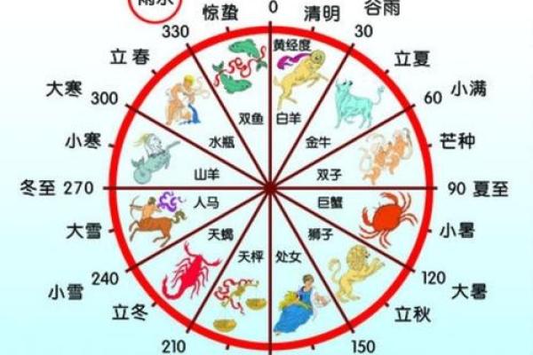 卯时出生的属鼠男孩：命理解析与人生走向探讨
