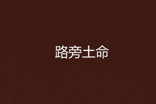 路旁土命男的命理解析与配命选择指南