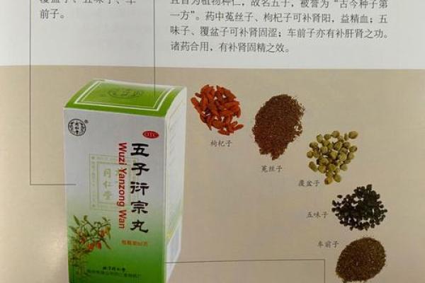 探秘五子命：命理学中的神秘与魅力