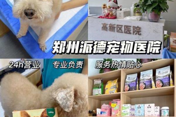 路旁土男命适合养哪些宠物？让我们一起探索吧！
