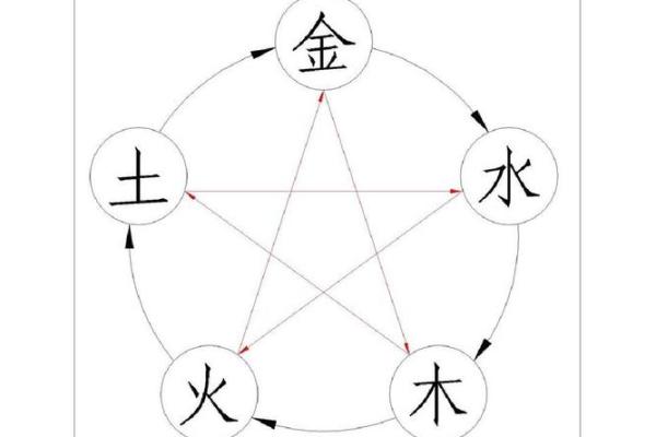 探索老鼠的五行属性与命运之谜