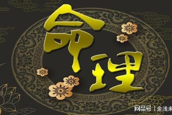 木命人适合的生意：开启你的财运之门！