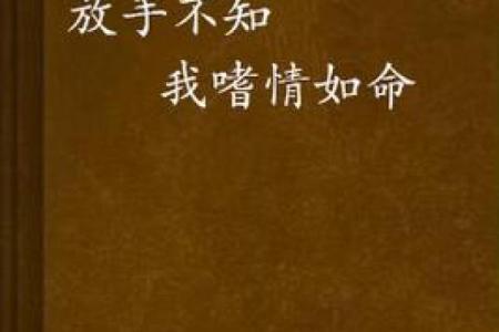 老父之命：命运背后的温暖与责任