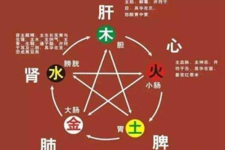 木命人选车如何看五行属性，提升驾驶体验与安全感