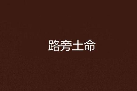 路旁土命男的命理解析与配命选择指南