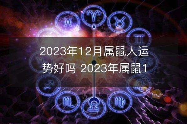 腊月十二出生的人：命理解析及人生启示