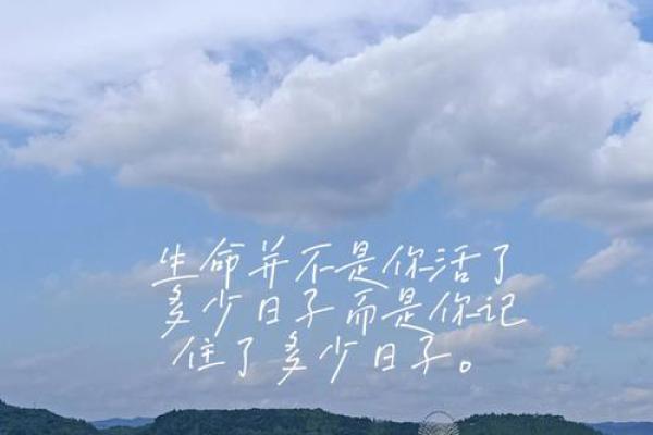 烈士永存：探讨生命意义与价值的追寻之旅