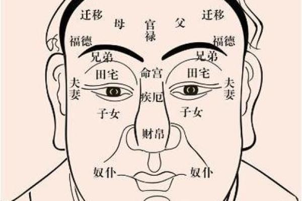眉毛有刀疤是什么命？解密面相与命运的奥秘！