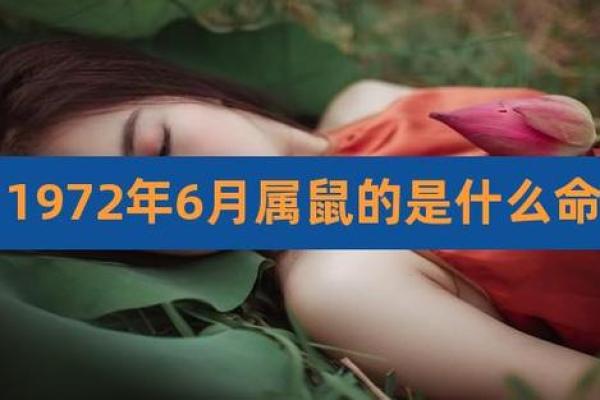 六零年出生属鼠的命运分析与人生启示