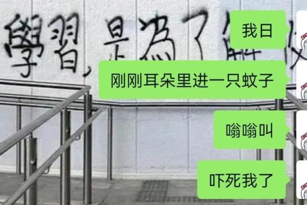 梦见邻居救我一命的寓意深探：梦境中的情感连接与潜意识的启示