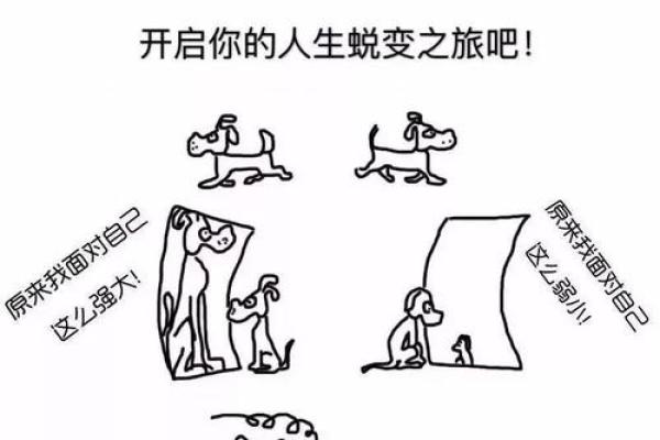解密刘振宇五行命格：揭开人生命运的神秘面纱