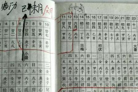 命注靠山：解析命理学中山川之力对命运的影响