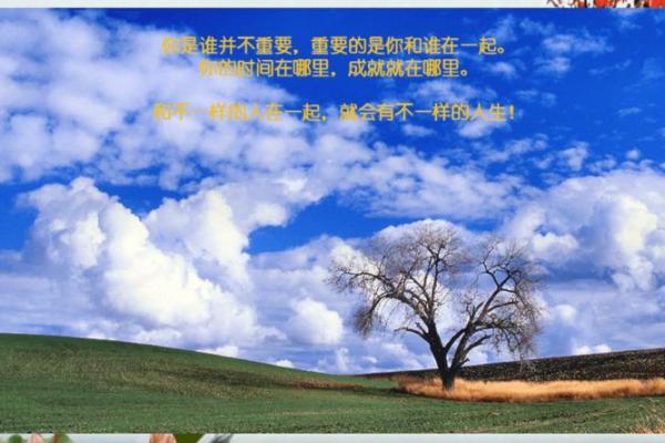 刘琨命运解析：深度剖析与人生启示