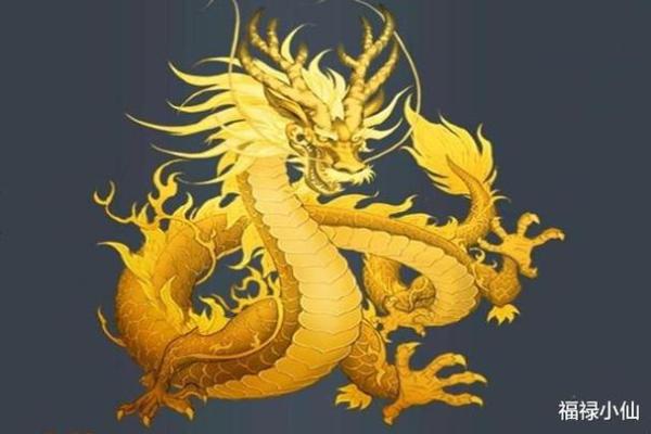 2024年龙年运势解析：如何掌握九大命格的能量与机遇