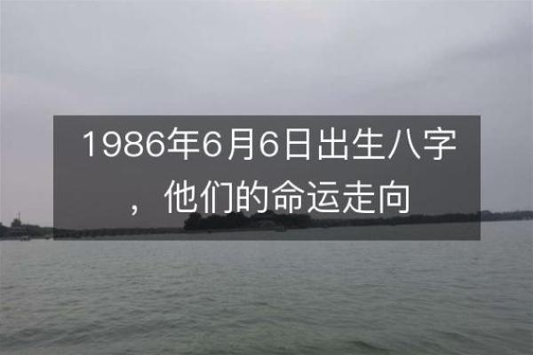 揭秘2009年阴历初九出生者的命运与人生轨迹