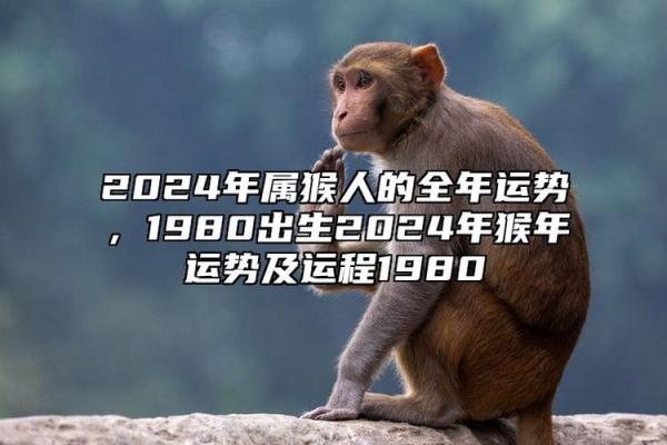 六月属猴人的命理解析与生活指引