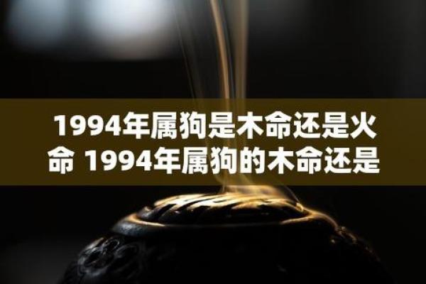 木命与火命的商业合作：如何共同打造成功的生意