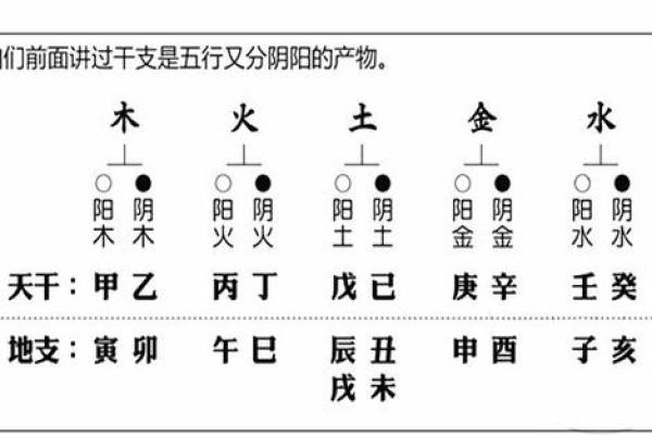 律师行业与五行命理的深厚联系分析