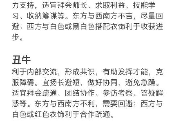 探寻1996年7月15日的命理密码：你的运势如何？
