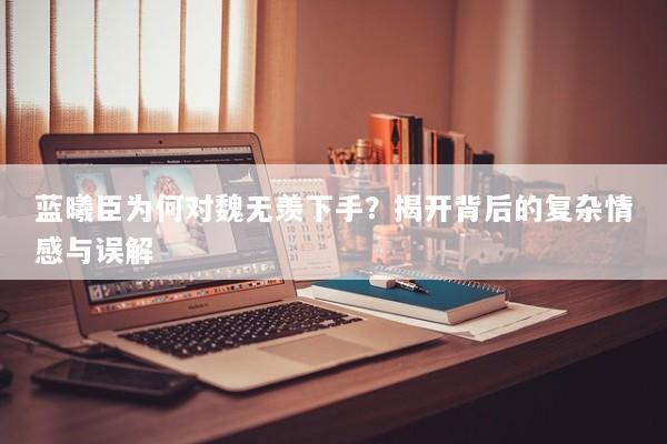 蓝曦臣为何对魏无羡下手？揭开背后的复杂情感与误解