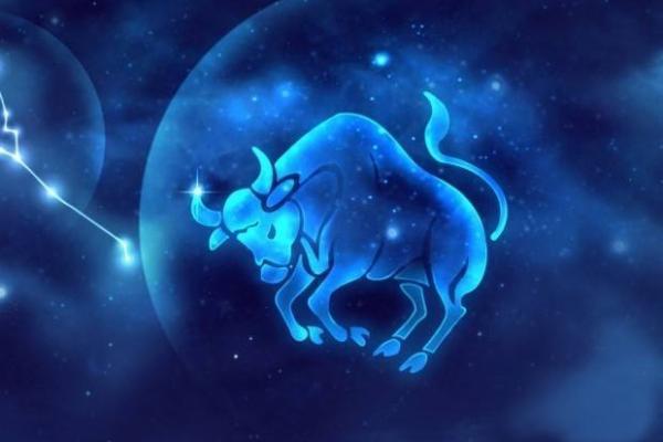 葵亥女命与男命最佳配对：爱情的星辰大海