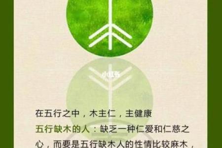 木命与火命的商业合作：如何共同打造成功的生意