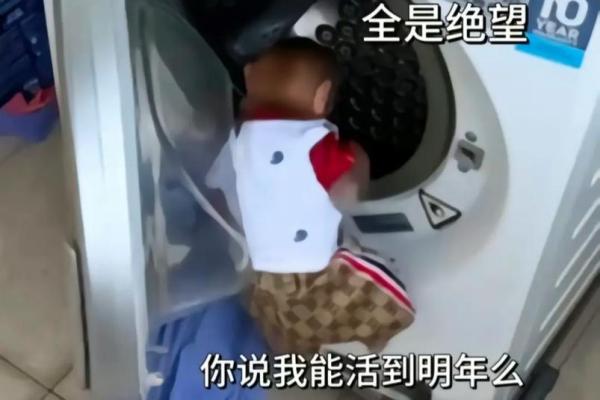 马楼的命也是命：从网络梗看生活的无奈与幽默