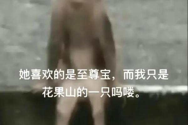 马楼的命也是命：从网络梗看生活的无奈与幽默