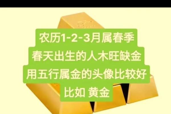 木命缺木多金，适合佩戴的吉祥饰品解析