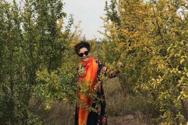 六十九岁属马女性的命运与人生启示：从青春到余晖的智慧旅程