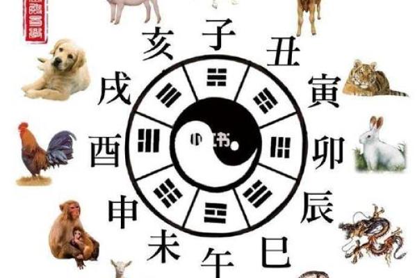 马与猴：不同命运的生肖解读与相互影响