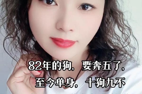 九月份82年出生的狗：命运、性格与运势分析