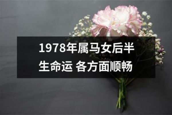 六六年生属马的命运解析：如何把握人生机遇与挑战