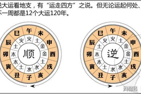 命理中的大贵：解读人生中的财富与成就之道