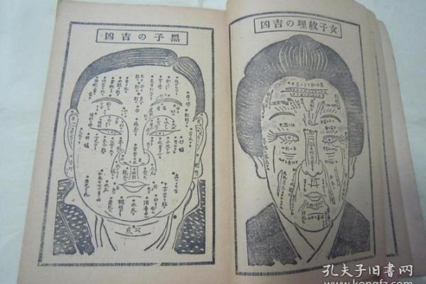 命理中的大贵：解读人生中的财富与成就之道