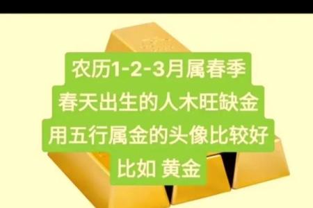 木命缺木多金，适合佩戴的吉祥饰品解析