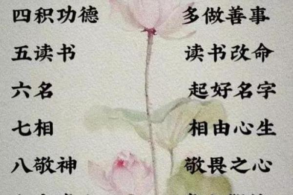 解读命理：九五年九月二十日的特殊命格，探寻人生奥秘