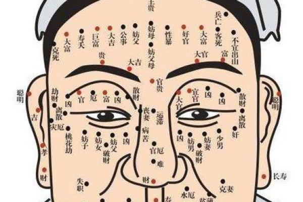 腊月21日出生的人，属什么命运？探秘命理背后的故事