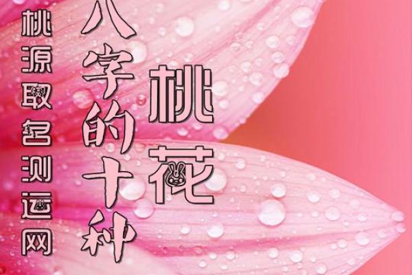命理中的桃花运解析：探寻理想爱情的秘密